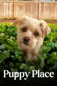 《小狗广场第二季》：萌宠治愈一切？不，这次还有意想不到的‘黑暗’与‘反转’！